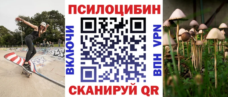 даркнет формула  мега tor  Славгород  Псилоцибиновые грибы MAGIC MUSHROOMS 
