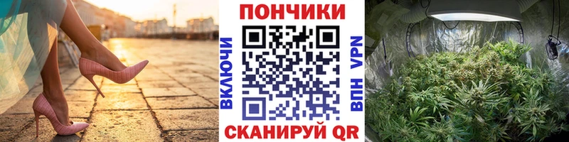 Канабис White Widow  где найти наркотики  Славгород 
